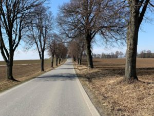 275935153_10221303129196228_4160748669188736284_n