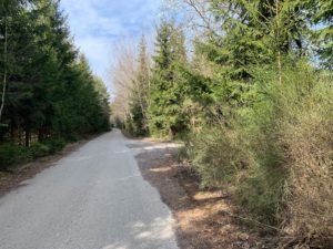 277000537_10221303129036224_342777278578300489_n