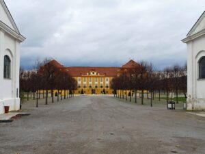 313104783_6268782719803481_1981462529781723034_n