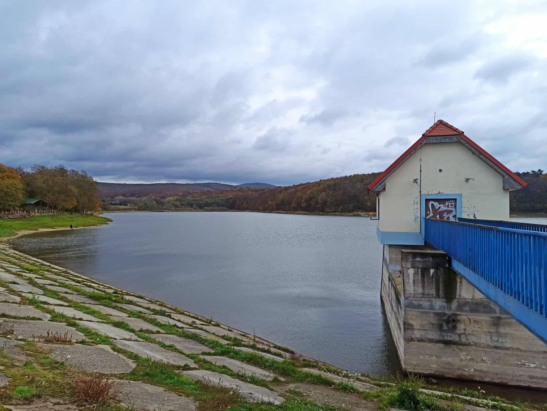 313206892_6268782196470200_8466746876789462808_n