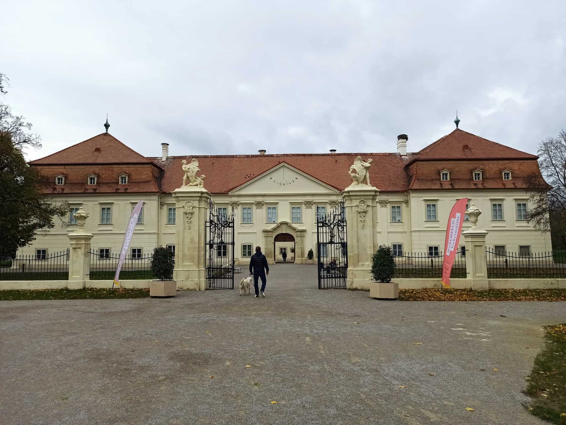 313220518_6268782599803493_5762929770546368183_n