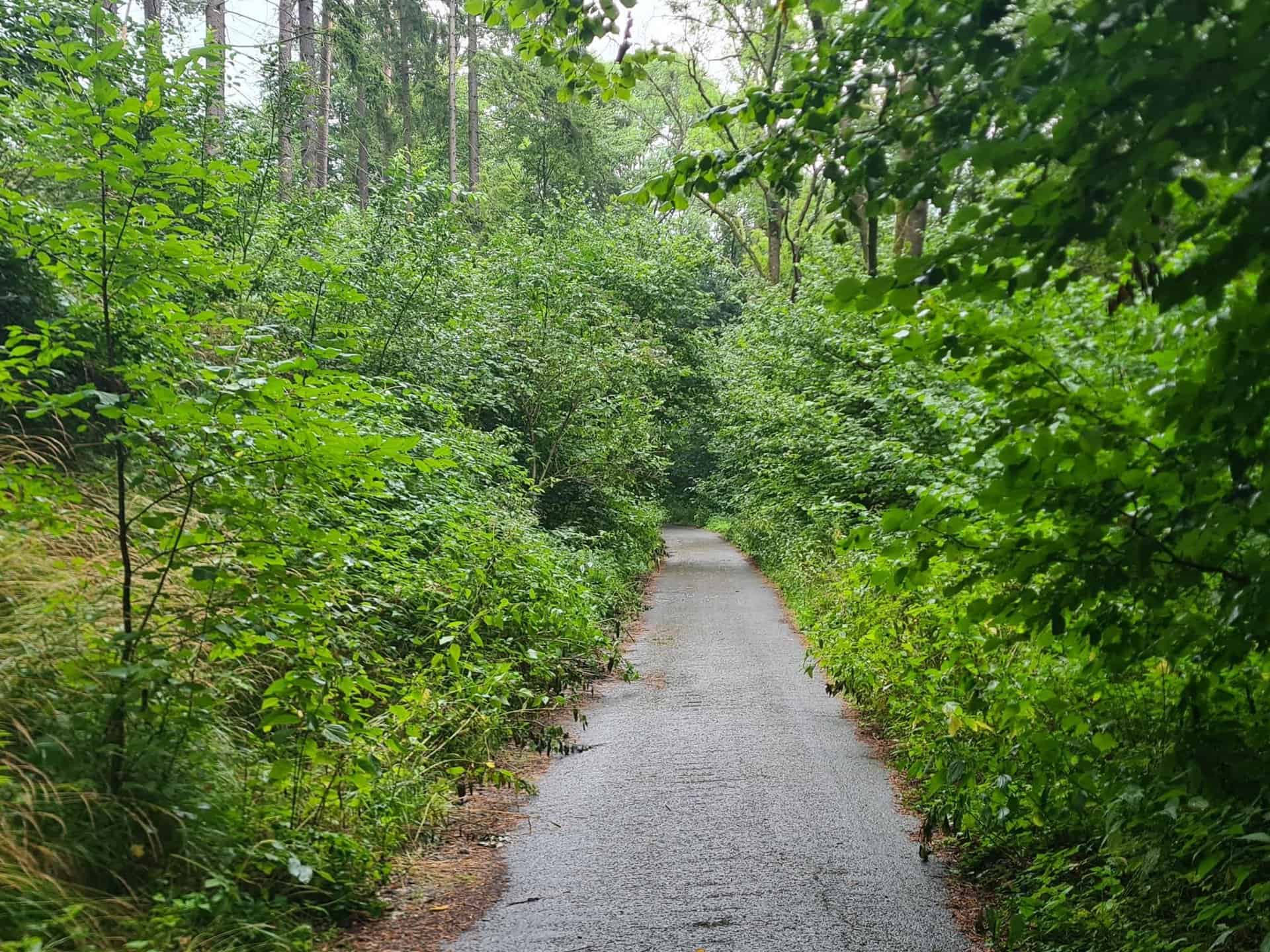 7vEQeyiF_3nhxjAS7wZ_HNOMMlHslCHxl6LbTBK7GMw-2048x1536