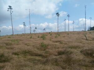 Česká Kanada trasa (11)