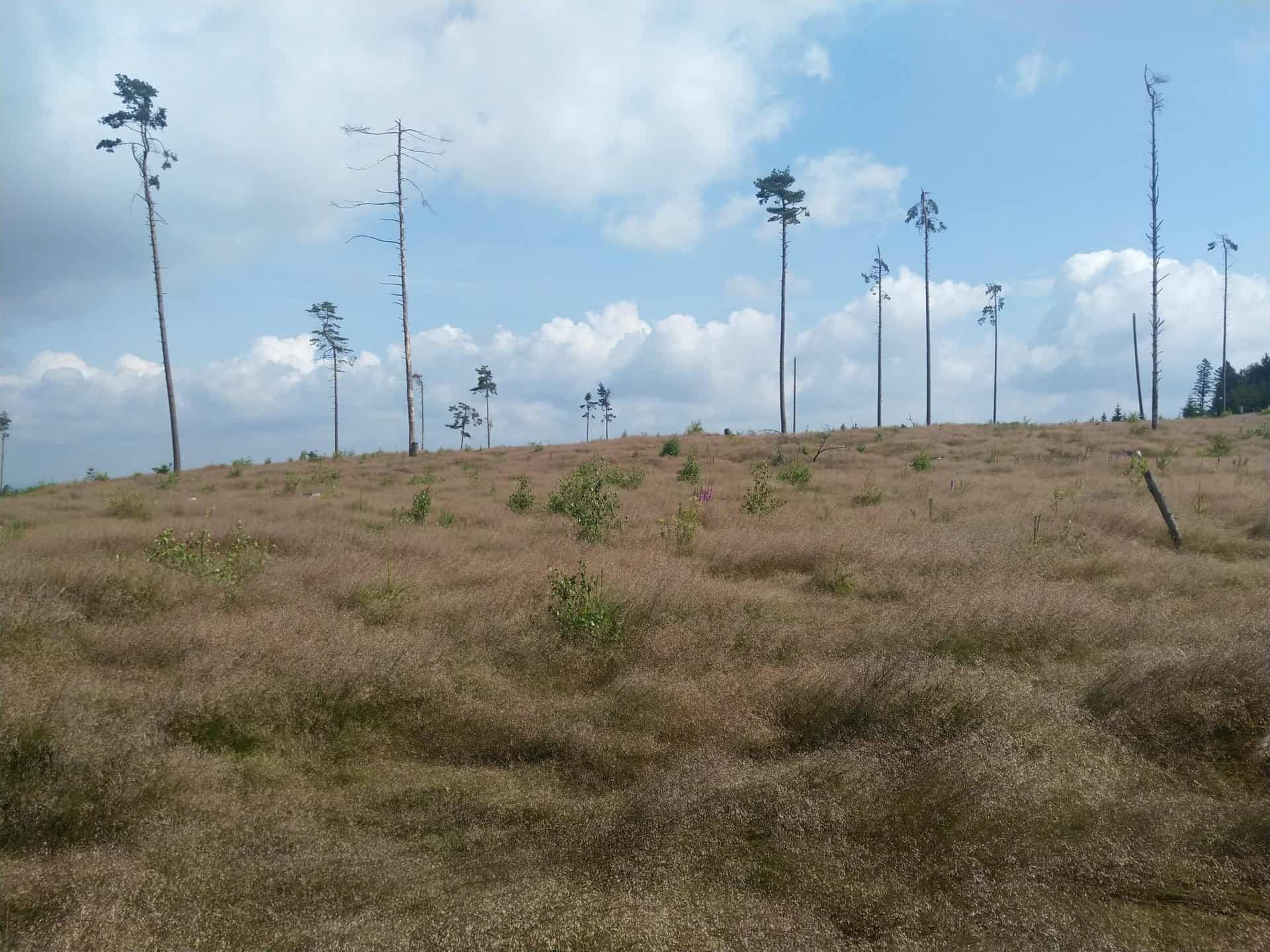 Česká Kanada trasa (11)