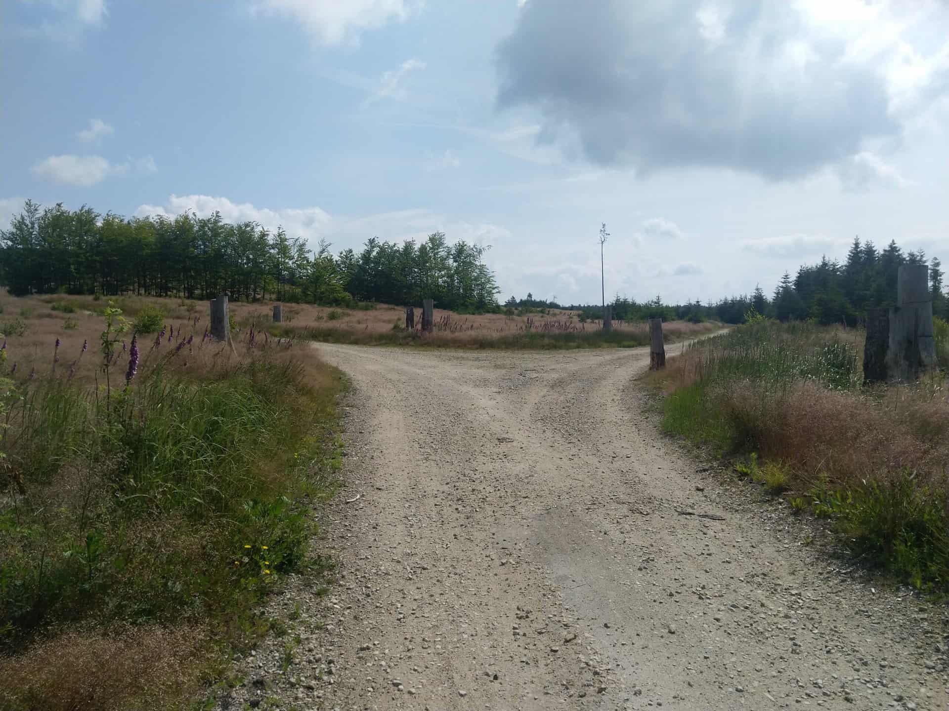 Česká Kanada trasa (12)