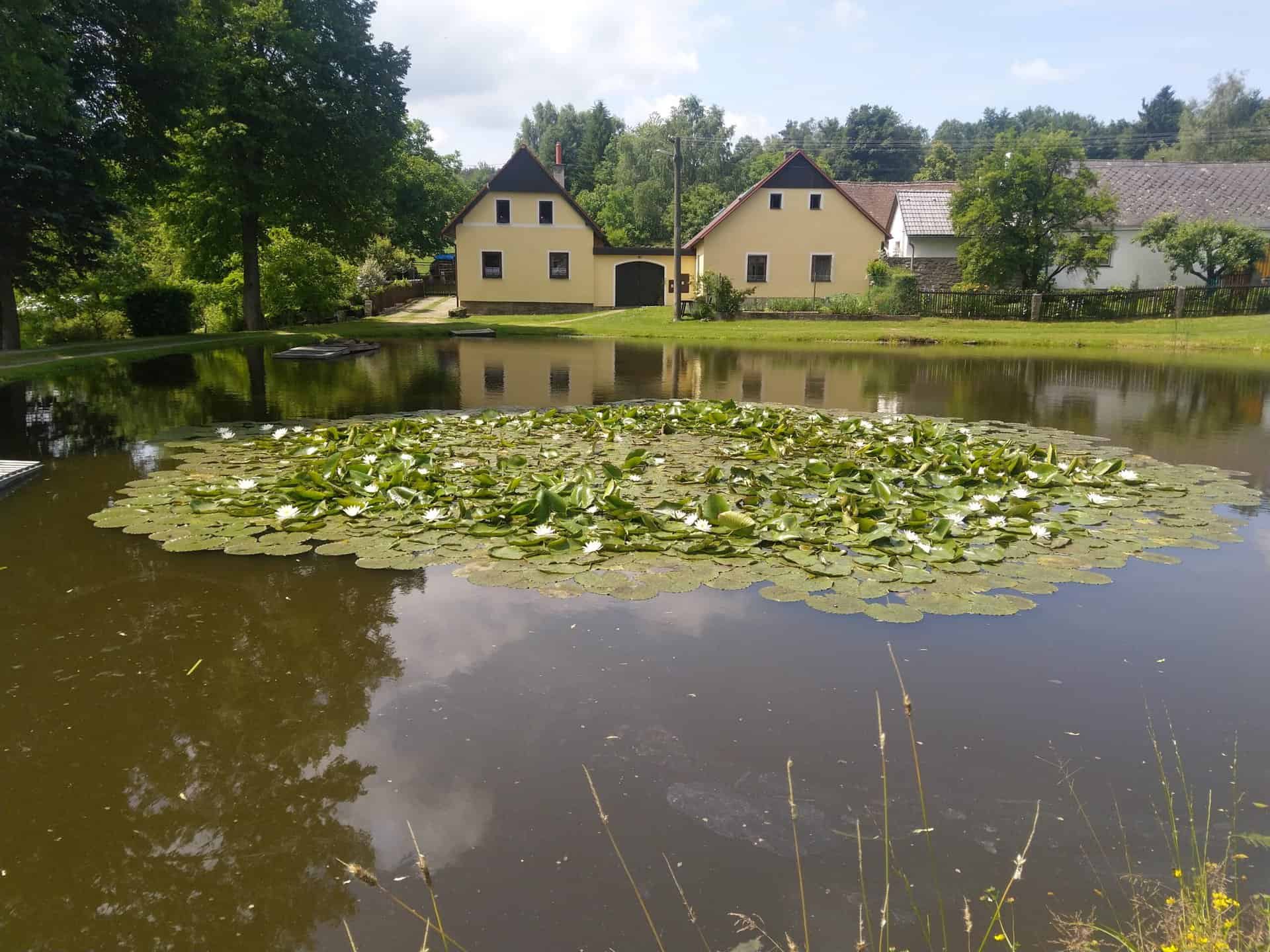 Česká Kanada trasa (13)