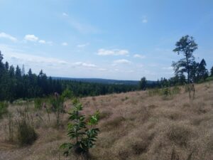 Česká Kanada trasa (14)