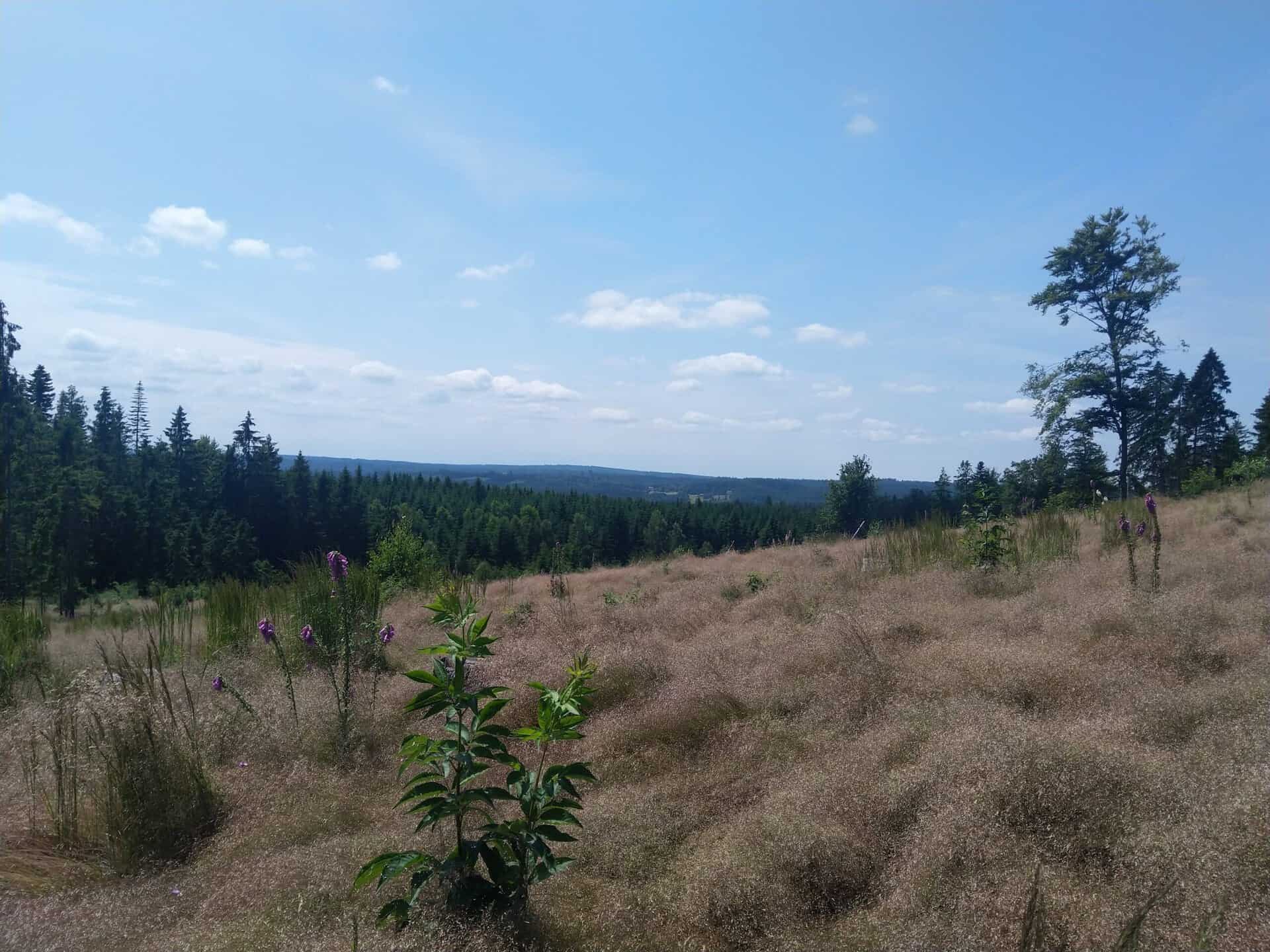 Česká Kanada trasa (14)