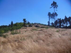 Česká Kanada trasa (3)