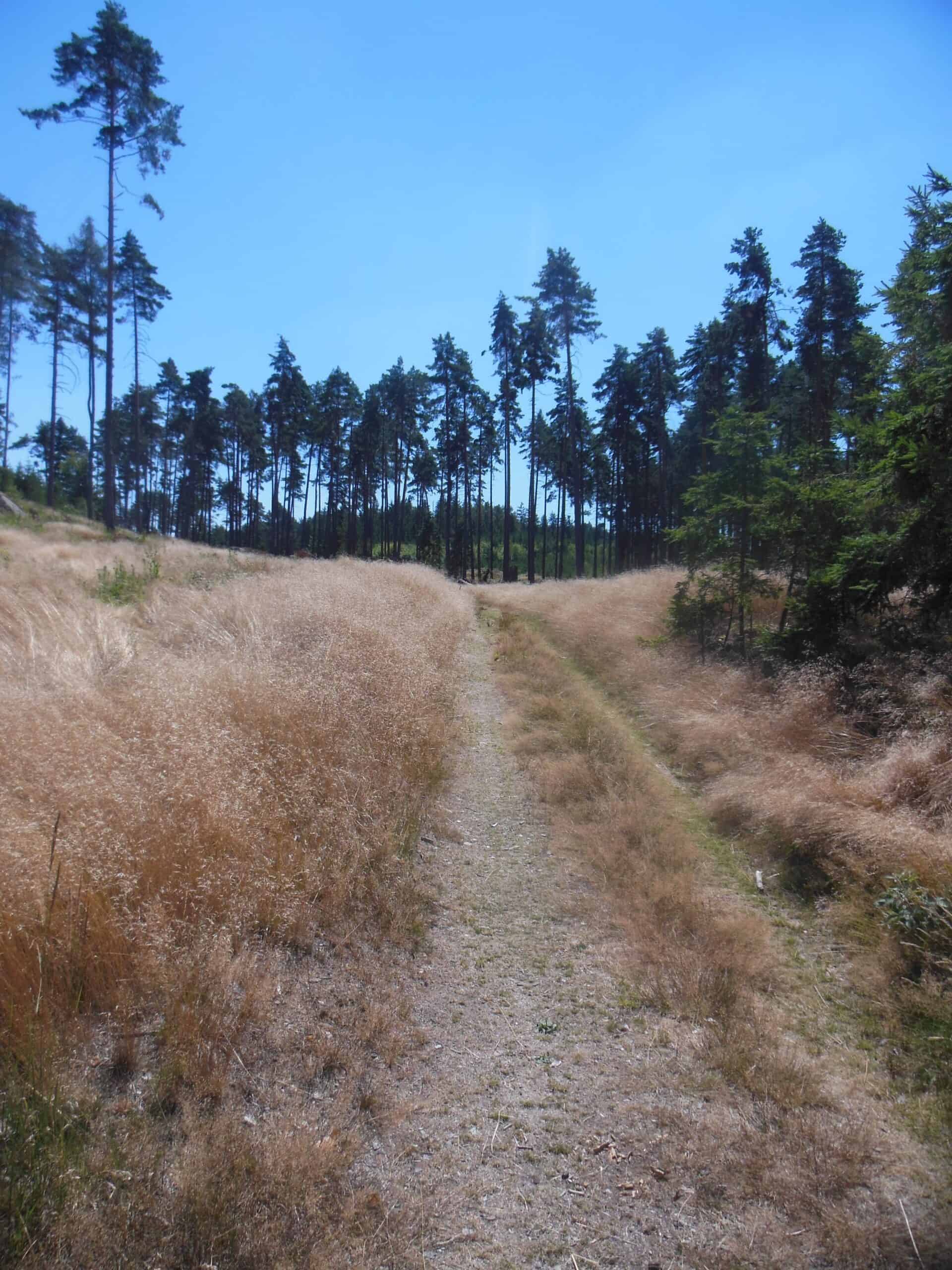 Česká Kanada trasa (4)