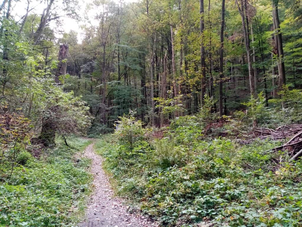 Tento obrázek nemá vyplněný atribut alt; název souboru je IMG_20201007_134115-1024x768.jpg.