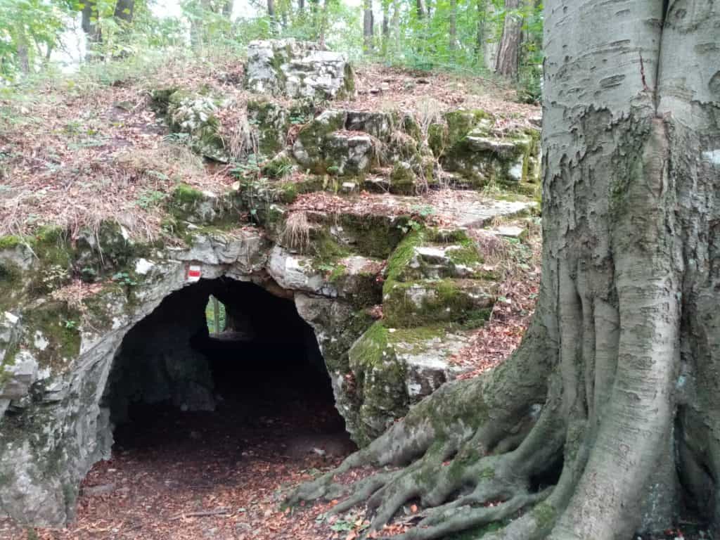 Tento obrázek nemá vyplněný atribut alt; název souboru je IMG_20201007_142957-1024x768.jpg.