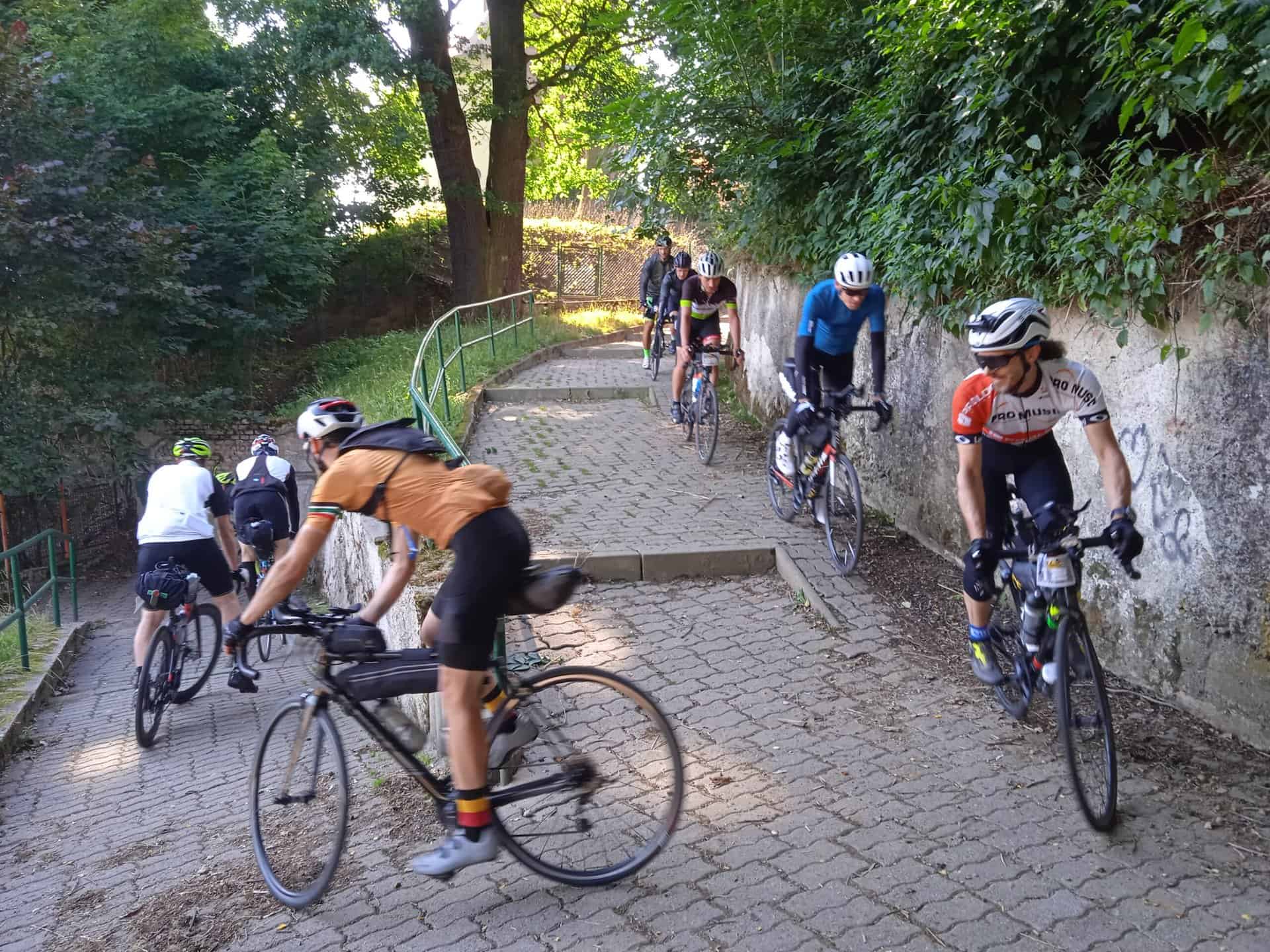 IMG_20220702_085517_1