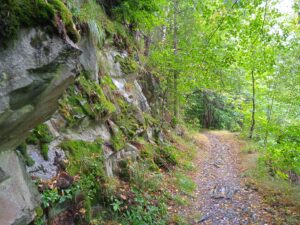 IMG_20220731_110648_1