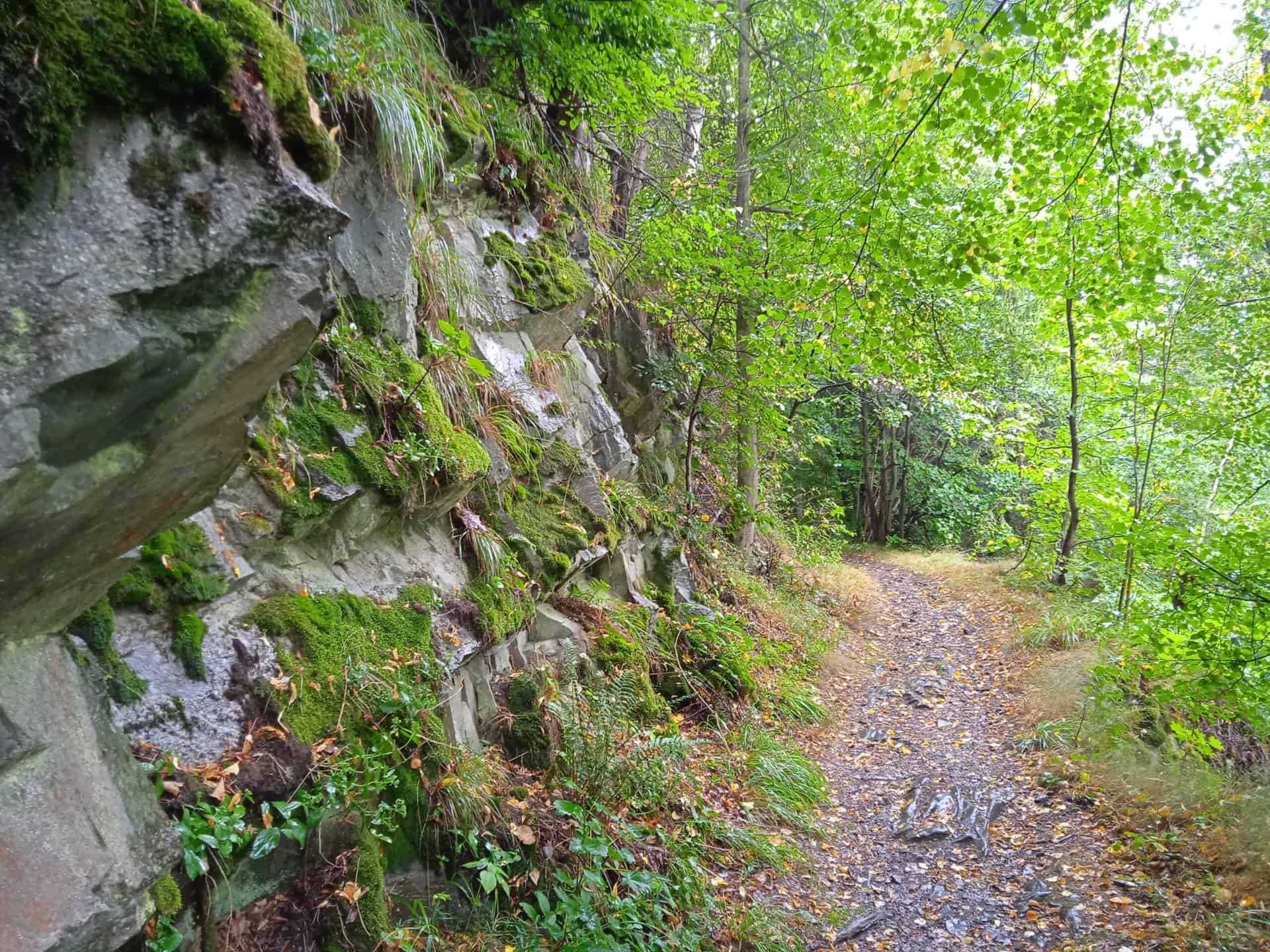 IMG_20220731_110648_1