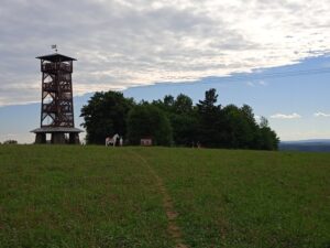 IMG_20220731_162735_1