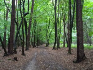 IMG_20220806_113814_1