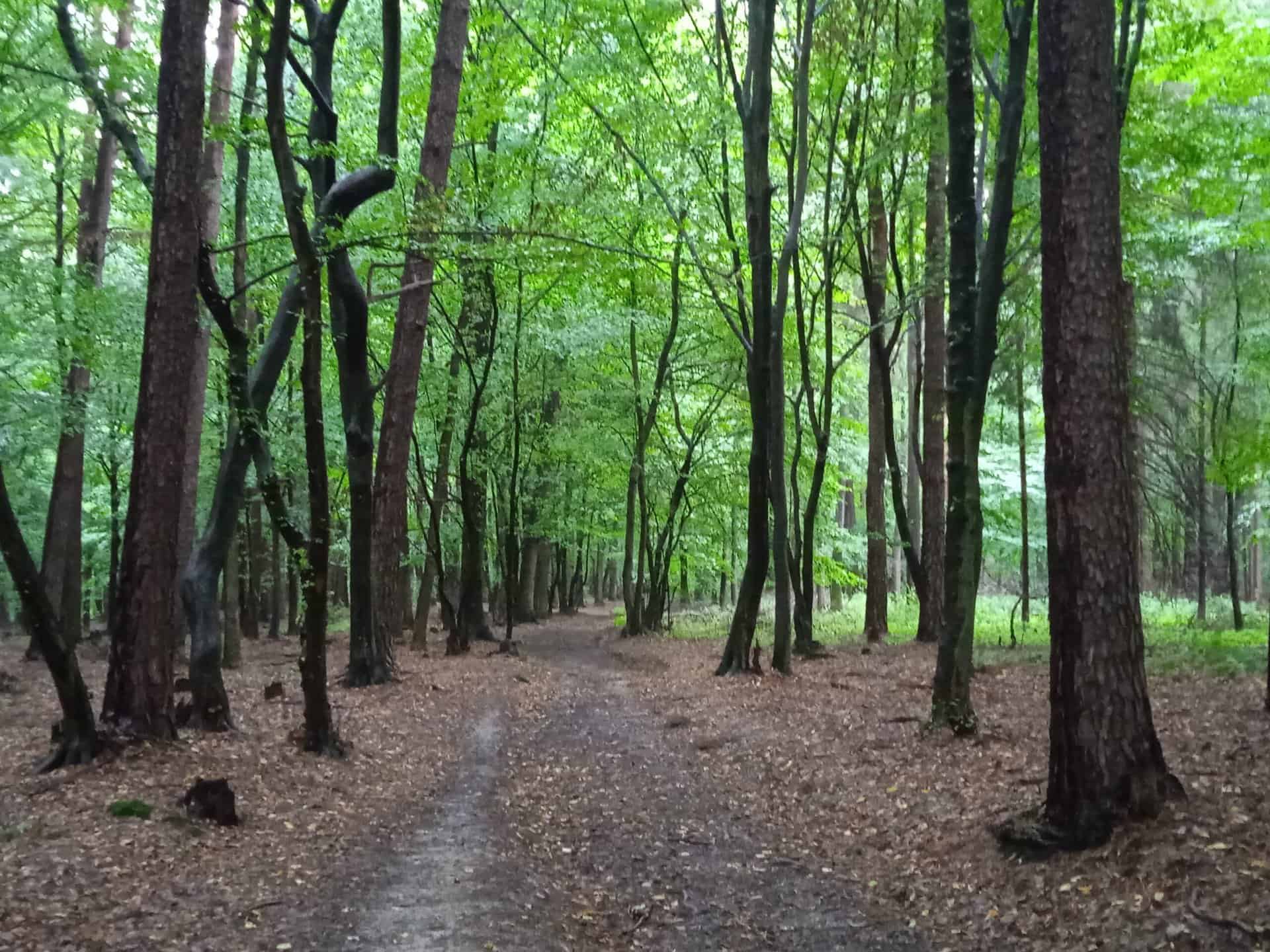 IMG_20220806_113814_1