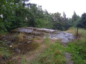 IMG_20220806_123217_1