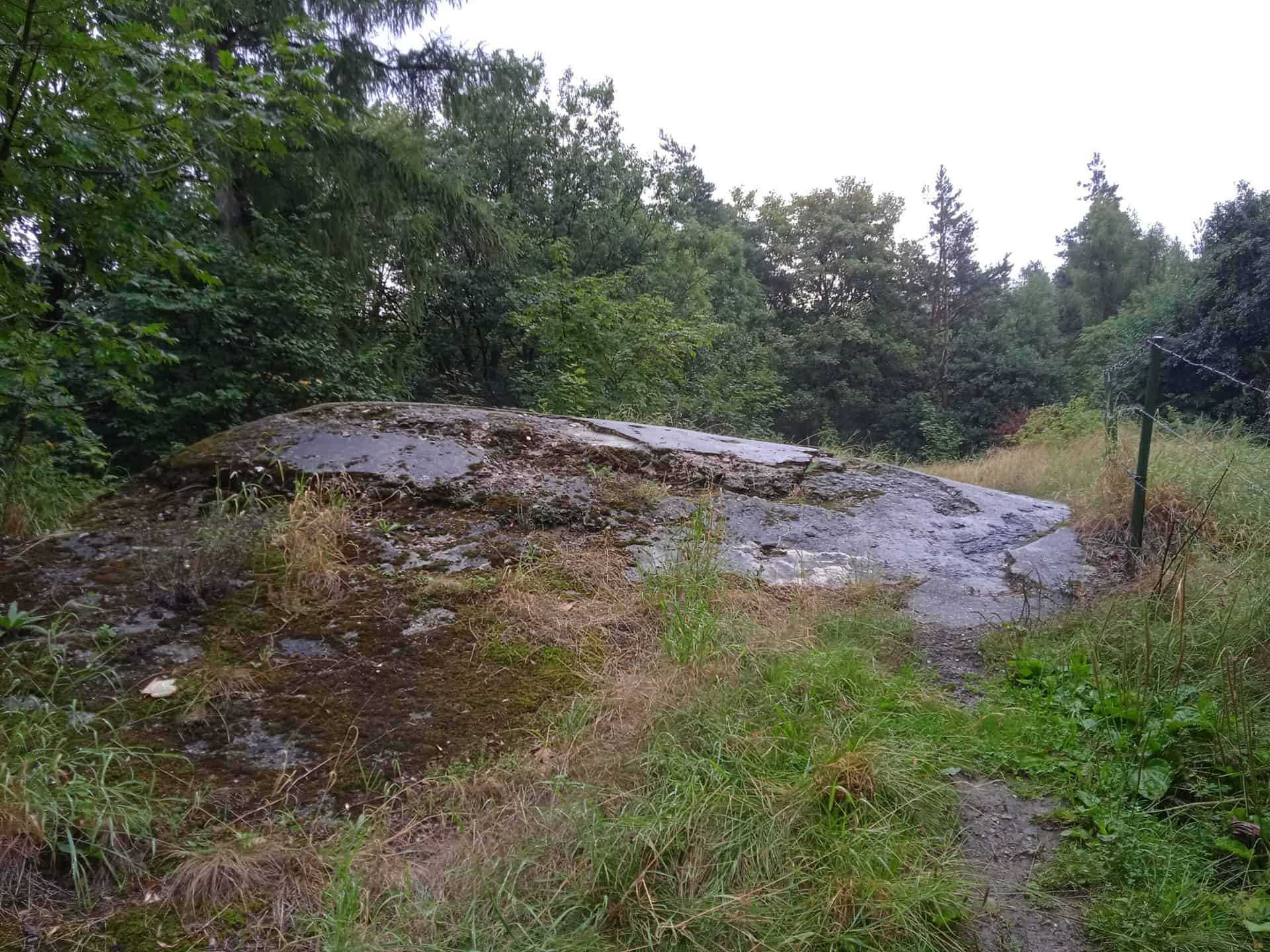 IMG_20220806_123217_1