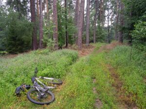 IMG_20220806_130540_1