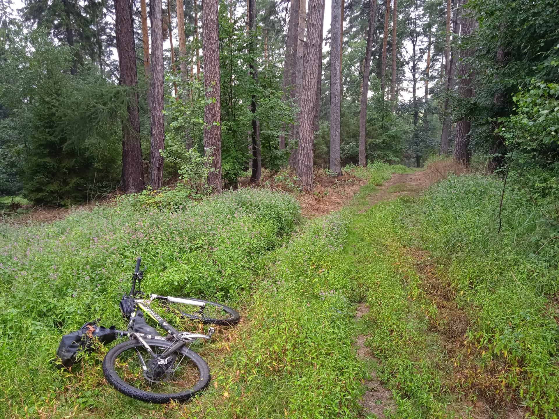 IMG_20220806_130540_1