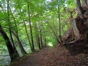 IMG_20220806_165914_1