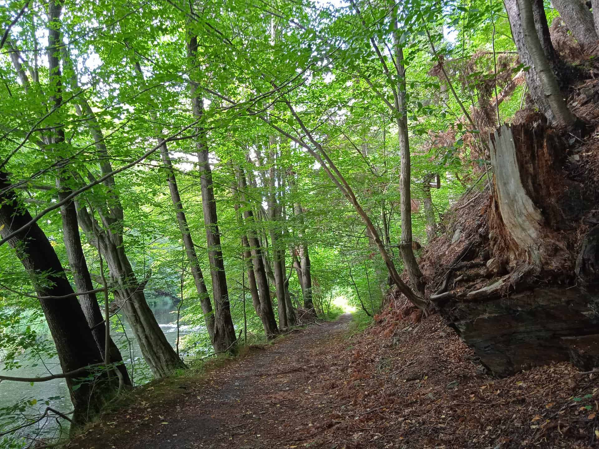 IMG_20220806_165914_1