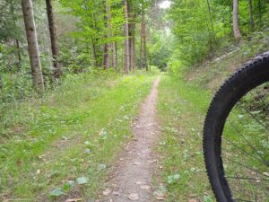 IMG_20220807_102939_1