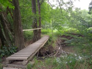 IMG_20220807_105009_1