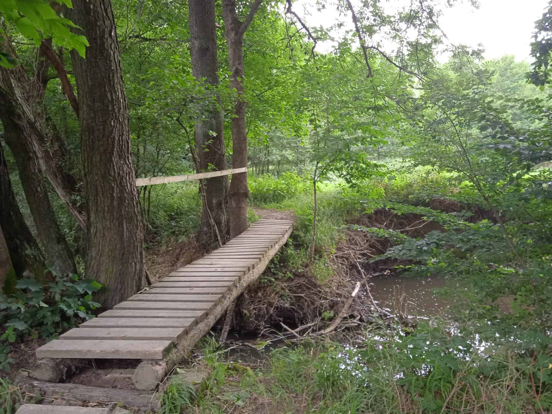 IMG_20220807_105009_1