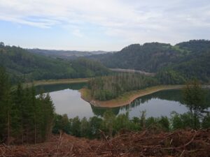 IMG_20220827_091539_1