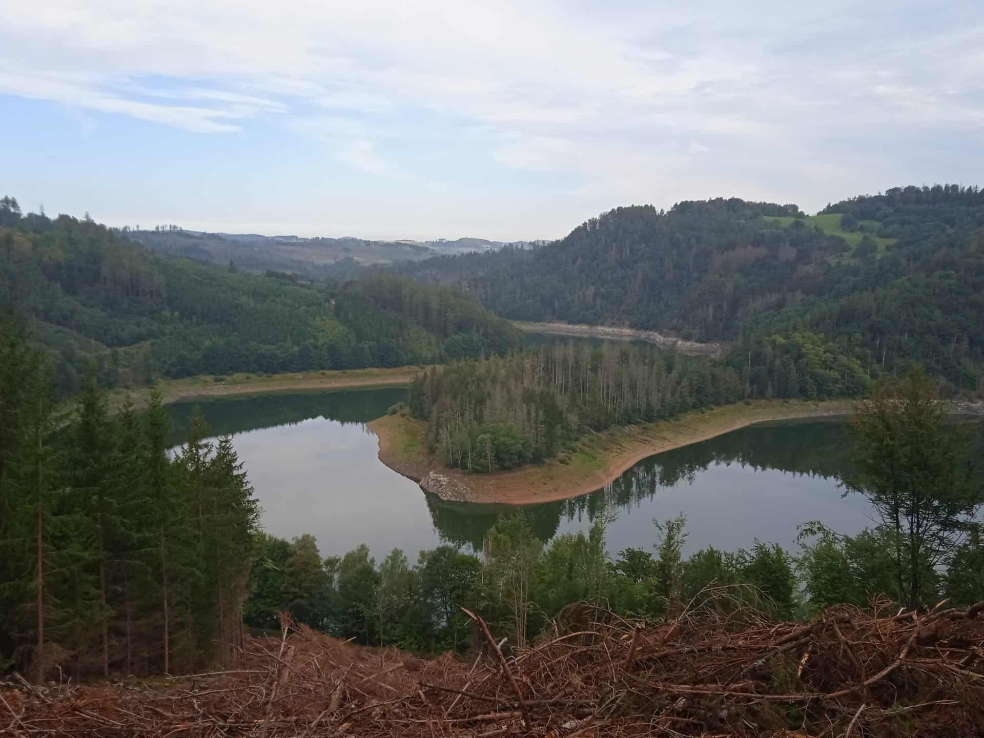 IMG_20220827_091539_1