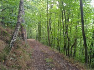 IMG_20220827_094222_1