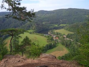 IMG_20220827_101801_1