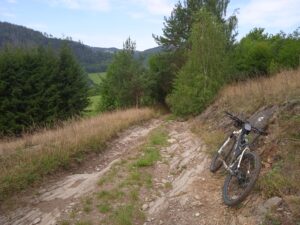 IMG_20220827_121928_1