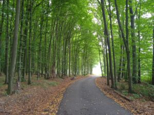 IMG_20220827_131519_1