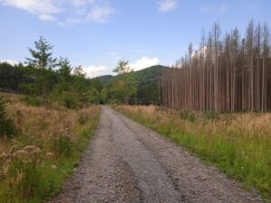 IMG_20220827_132244_1