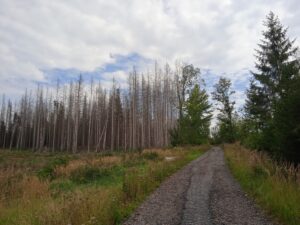 IMG_20220827_132306_1