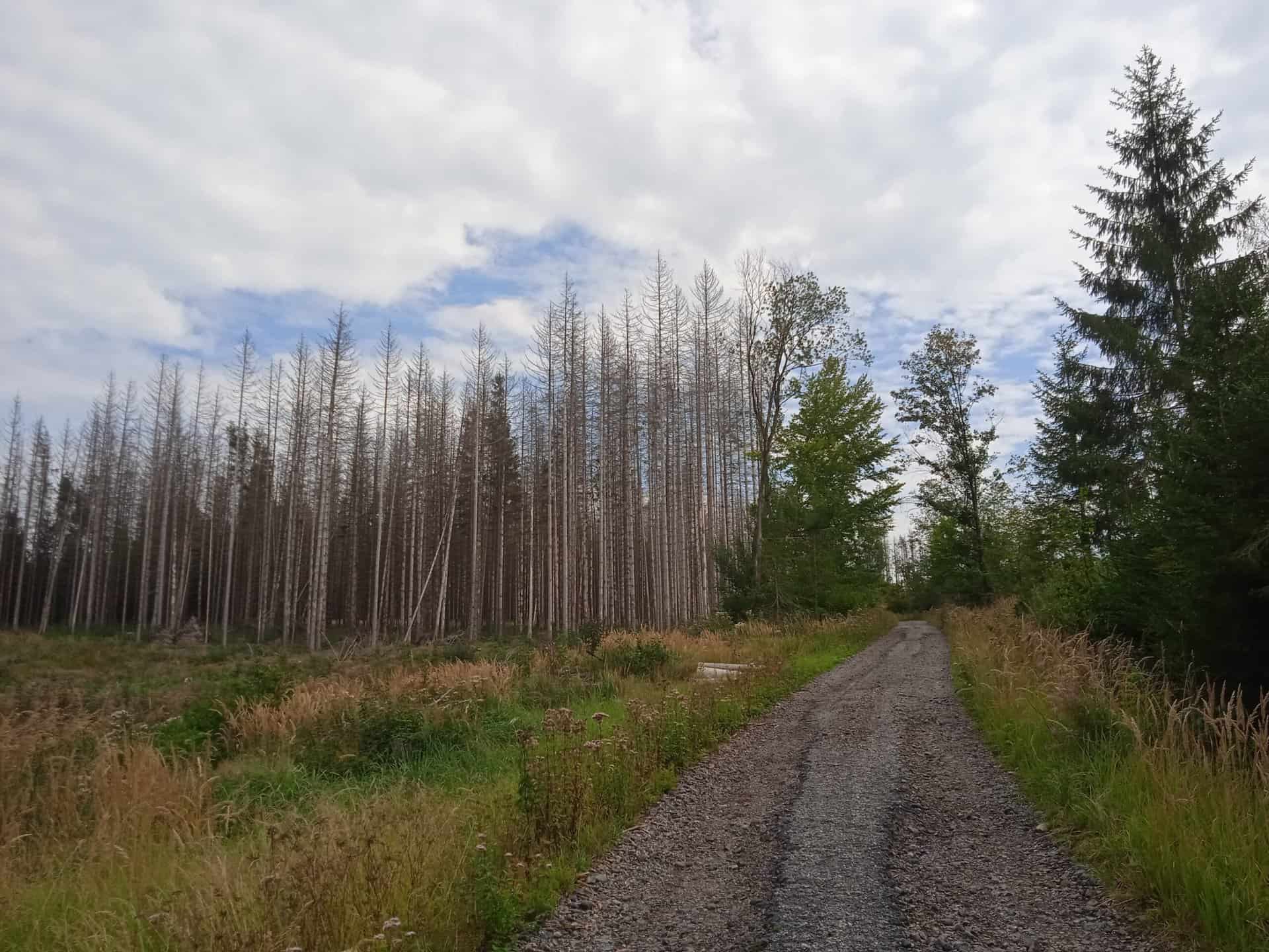 IMG_20220827_132306_1