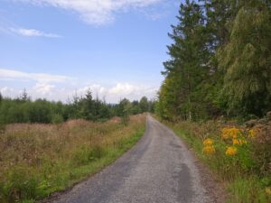 IMG_20220827_133213_1