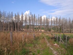 IMG_20220827_134254_1