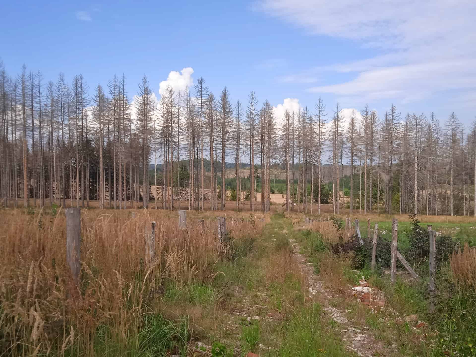 IMG_20220827_134254_1