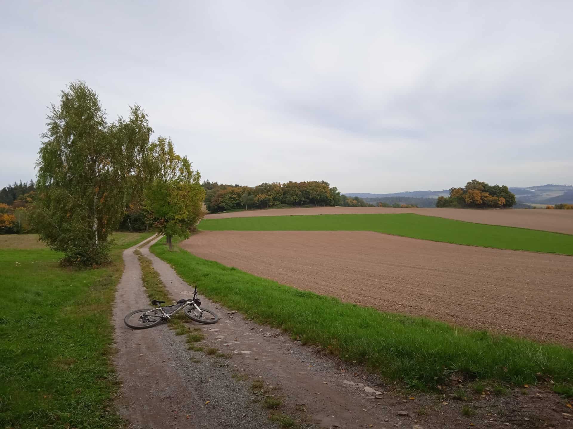 IMG_20221005_132933_1