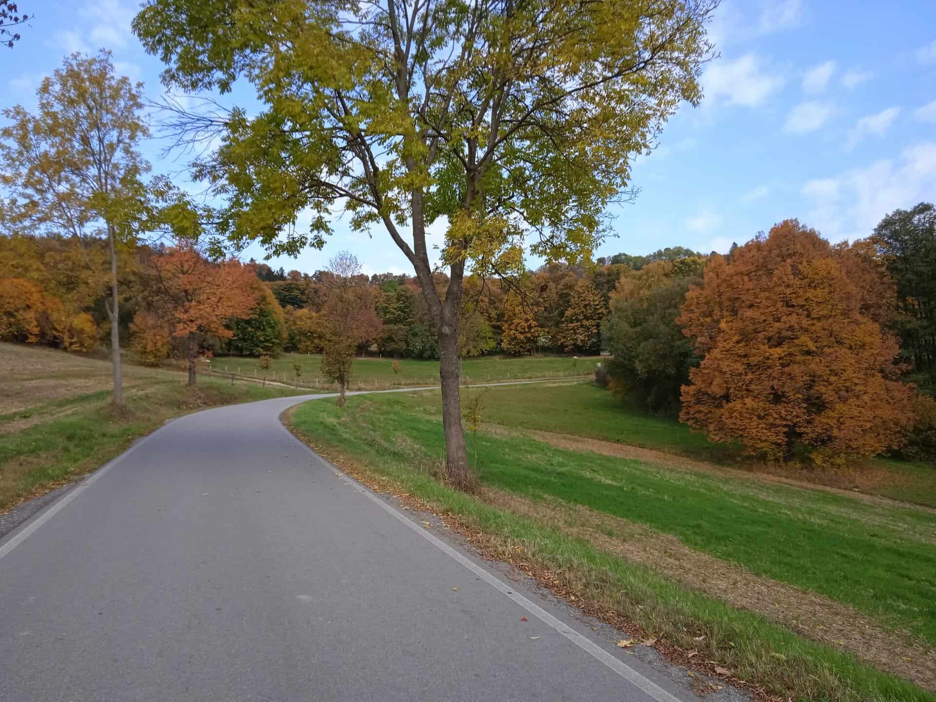 IMG_20221012_142109_1