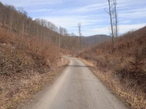 Ilyx7MlAU9dGR3nN1pHoysBG2ixgjtOBe6a16PsGeKo-2048x1536