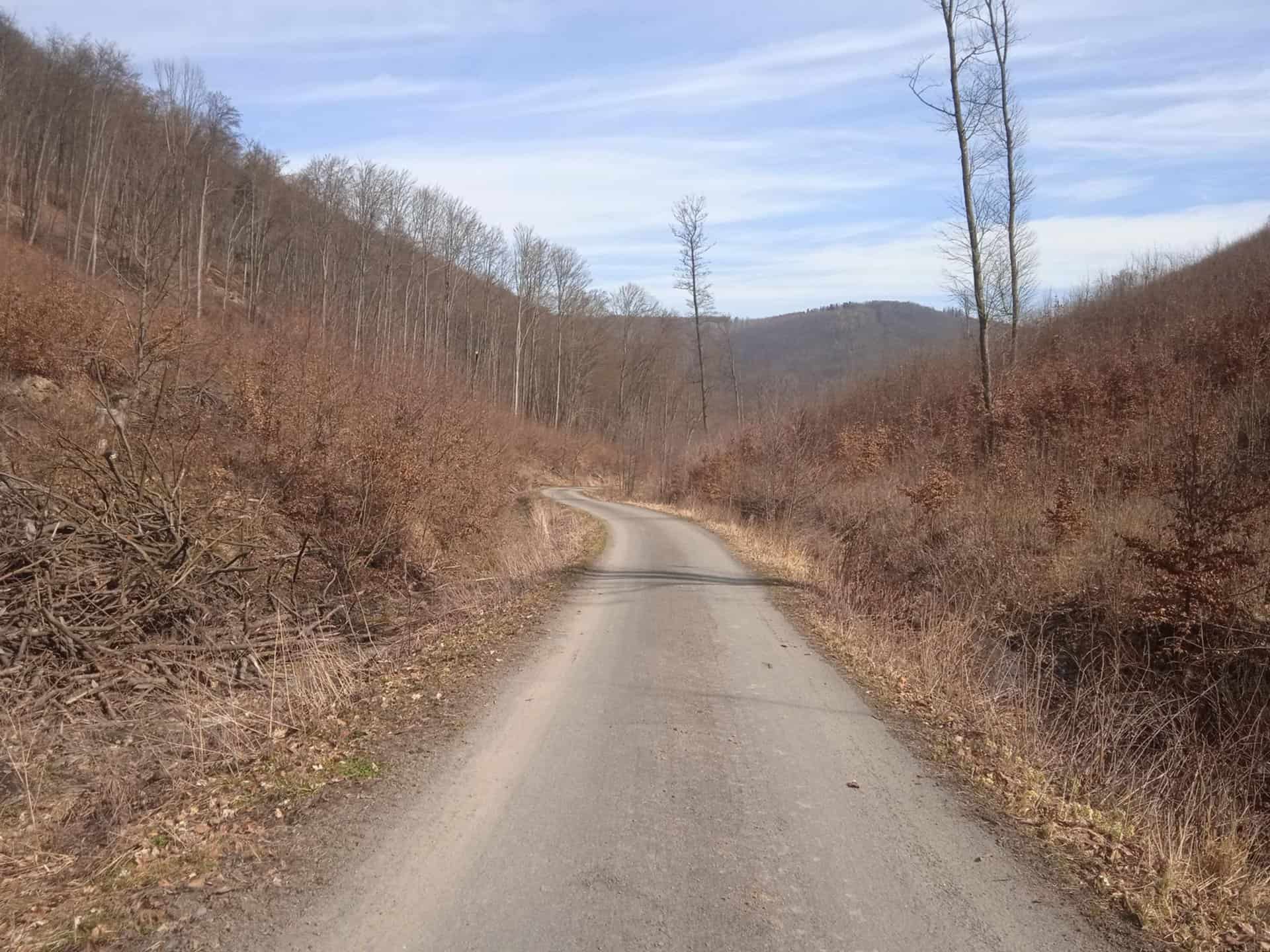 Ilyx7MlAU9dGR3nN1pHoysBG2ixgjtOBe6a16PsGeKo-2048x1536