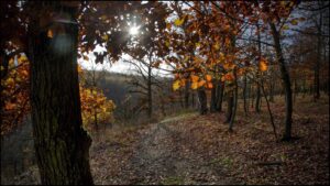 Jiloviste_008