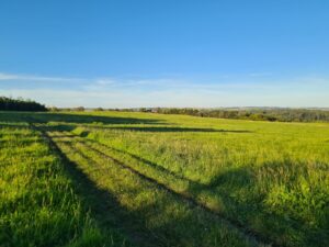 P1xOonyfdk5bDciz-26xk5QKRr6OyVPbLJkGK-fRw_M-2048x1536