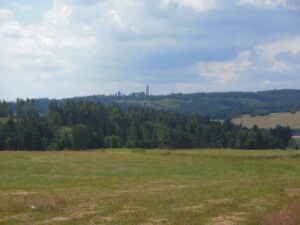 Suchdolský vrch pohled na rozhlednu